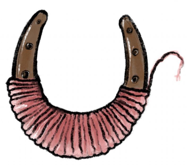 6_paard_en_schaap_ceremonie